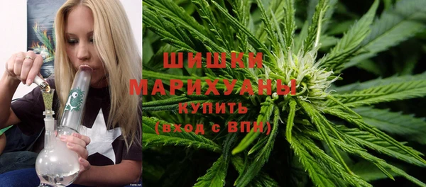 тгк Володарск