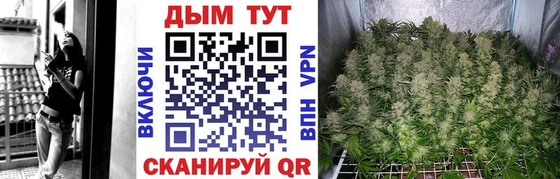 Конопля SATIVA & INDICA Тбилисская